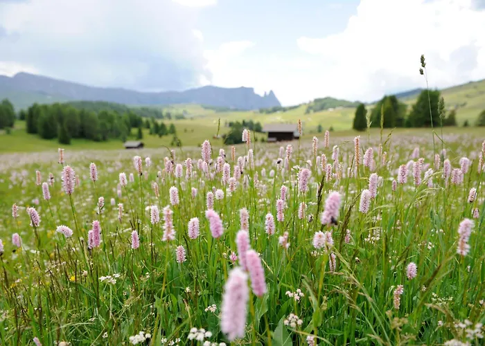 Naturresidence Dolomitenhof